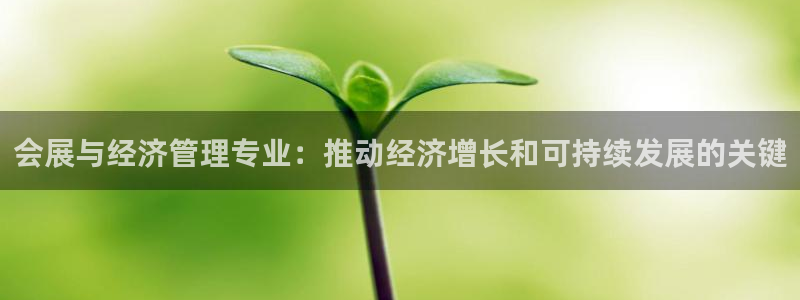 果博注册平台怎么注册的：会展与经济管理专业：推动经济增长和可持续发展的关键