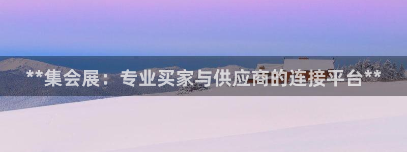 果博是怎么登录的：**集会展：专业买家与