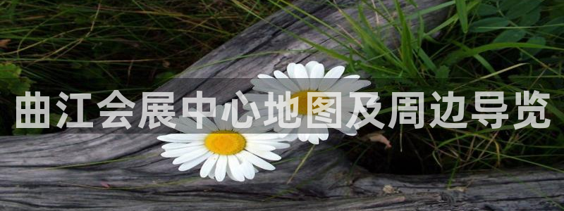 果博公司网站