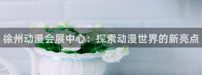果博平台电话：徐州动漫会展中心：探索动漫世界的新亮点
