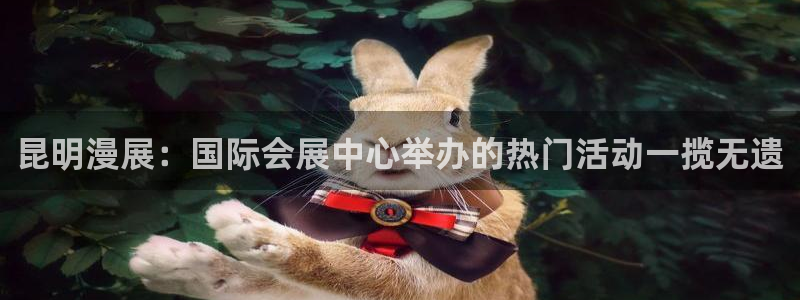 下载果博博东方：昆明漫展：国际会展中心举