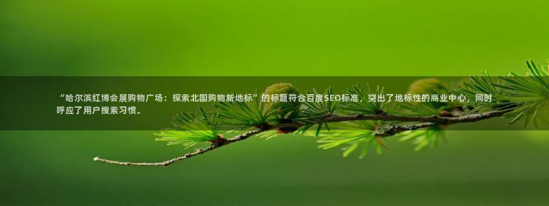 果博公司注册：“哈尔滨红博会展购物广场：