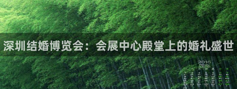 果博注册平台怎么注册不了：深圳结婚博览会